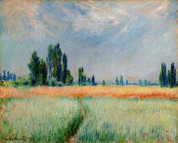 the-wheat-field
